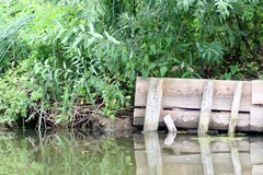 Killikus&reg; Fotographie